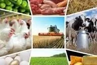 High Growth Recorded in the Processing Industry Over 11 Months