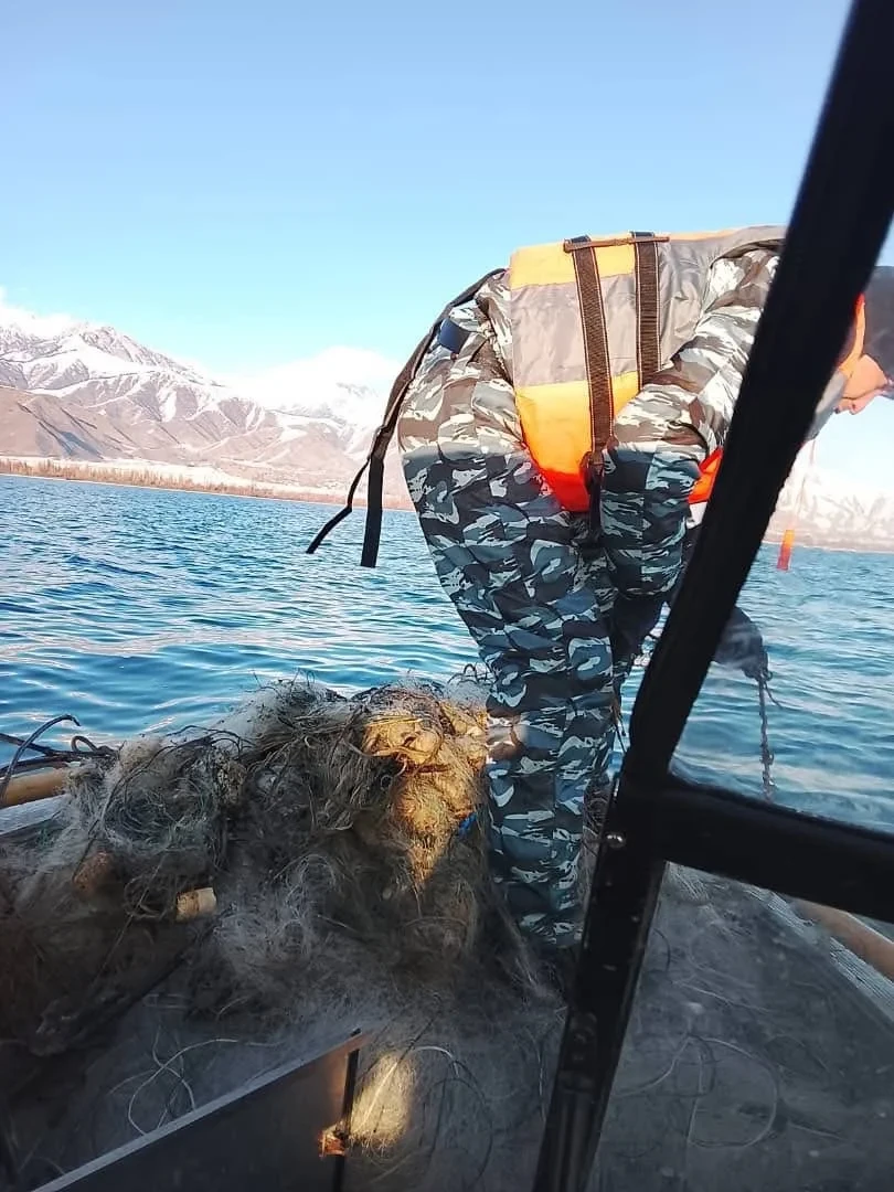 Illegal fishing nets were discovered and seized at Issyk-Kul.