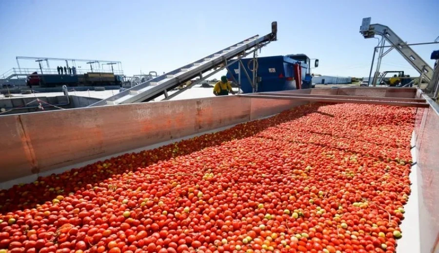 In the processing industry, production increased by 19% over 11 months.