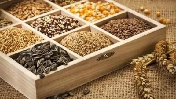 Kyrgyzstan Increases Volume and Range of Exports to China