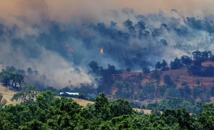 In Australia, a fire has destroyed over 300,000 hectares of forest