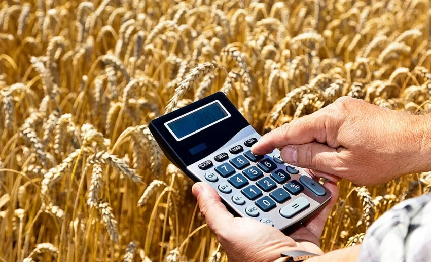 Government support for the agricultural sector in the Kyrgyz Republic has reached a new level – Ministry of Agriculture