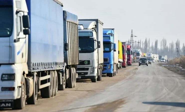 In Kyrgyzstan, 112 Violations in Agricultural Goods Import Detected at Border Checkpoints Over the Year