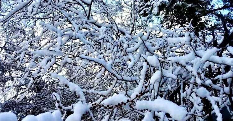 Snow is expected in Bishkek. Weather forecast for January 15-18.