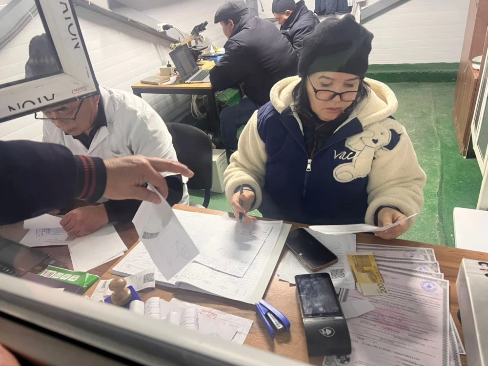 Wholesale meat trade moved from Osh market to another district