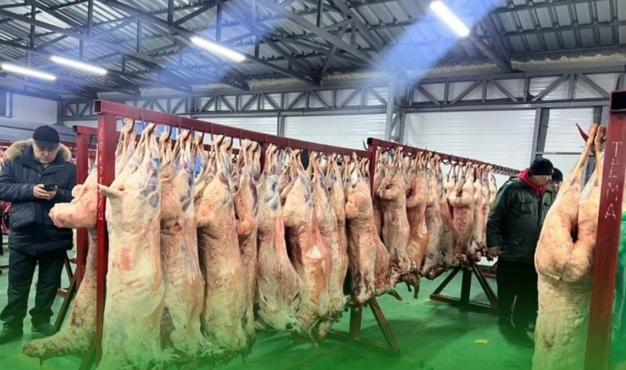 Ош базарынын көчүрүлүшү башталды. Оптовая эт сатуу азыр Майевкада