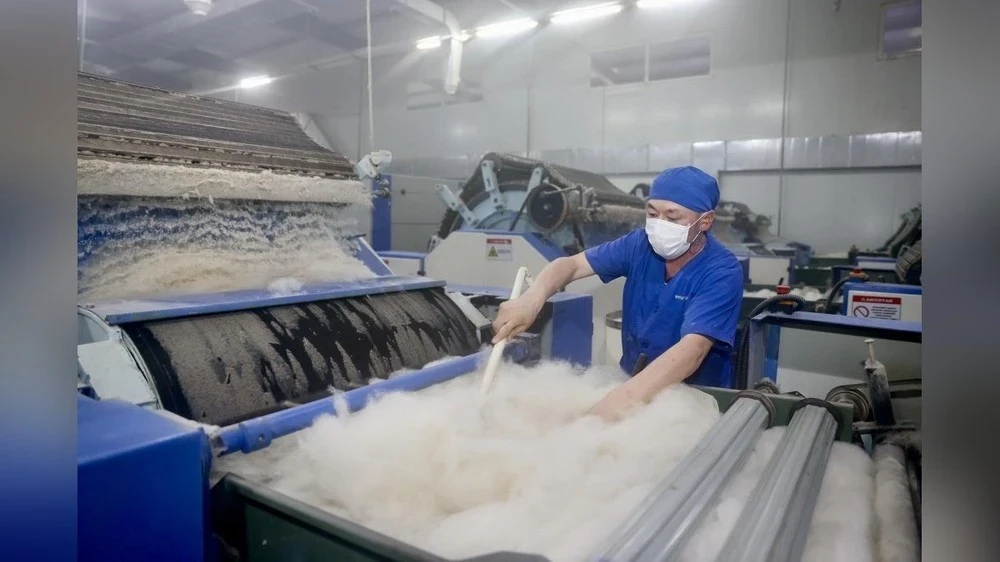 Export of combed cashmere from Mongolia increased by 28.7% in 2025