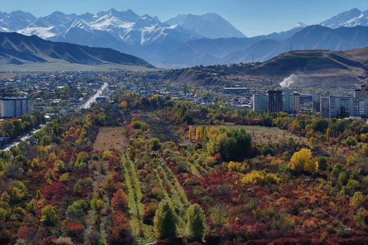 "What Remains of the Botanical Garden?" A New Disturbing Video is Being Discussed Online