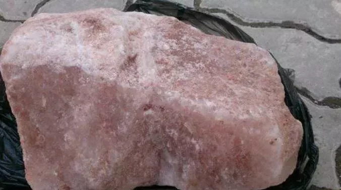 Кыргызстанга Өзбекстандан мал үчүн 22 тонна туз өткөрбөй коюшту