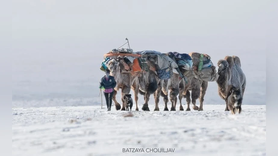 Snowfalls and Blizzards Expected in the Rivers Ulz and Khalk Basins