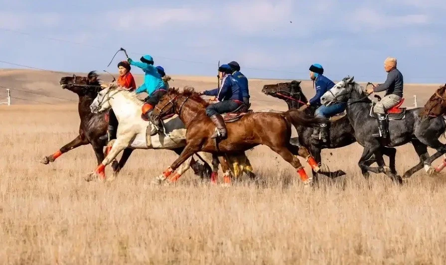 In Kyrgyzstan, they will choose the "great player of kok-boru" and the "great horse of kok-boru"