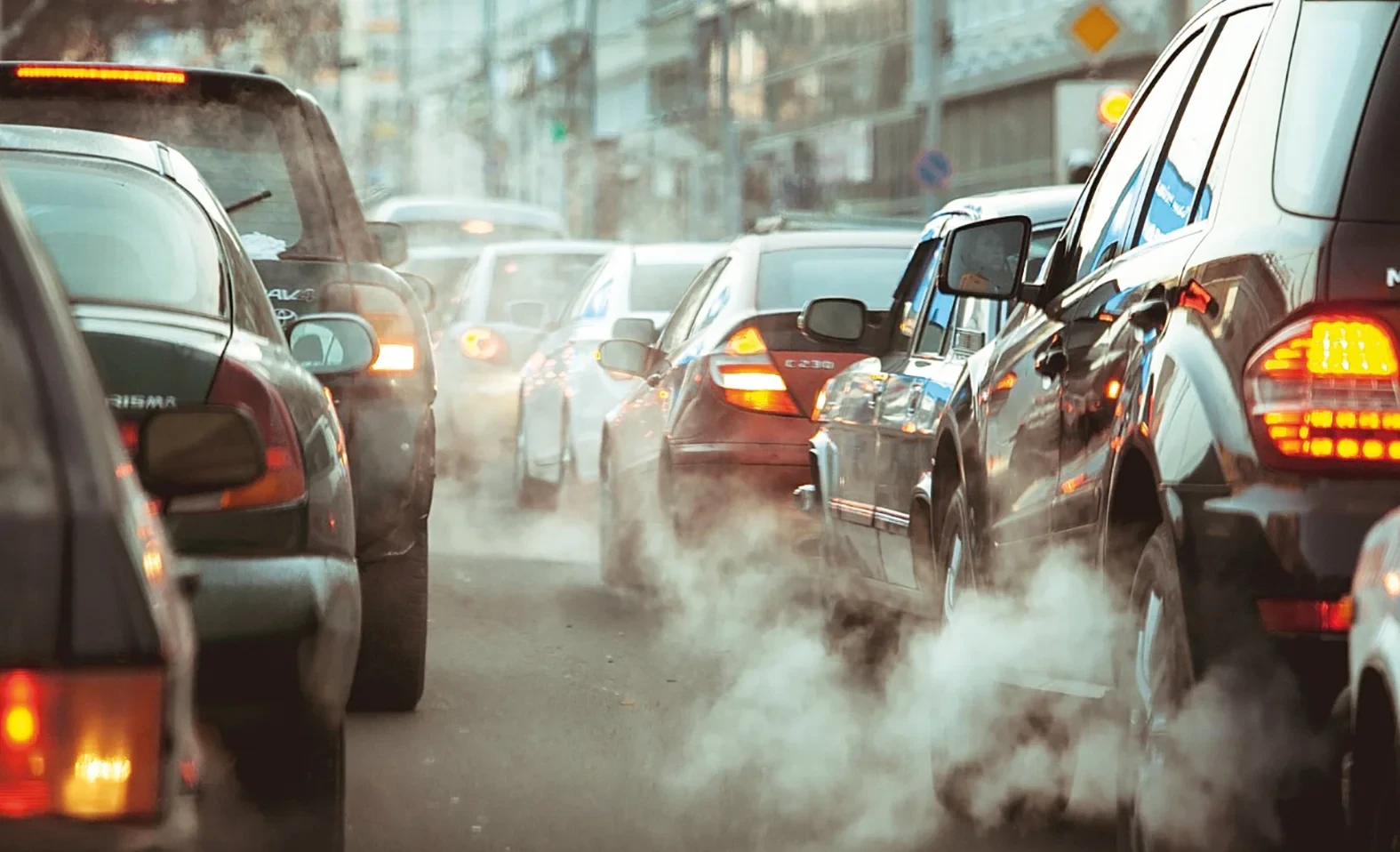 The ban on the export of catalytic converters to the Kyrgyz Republic may be extended for another six months.