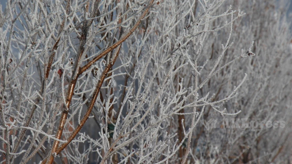 Со среды по Узбекистану күтүлүүдө жамгыр жана кар