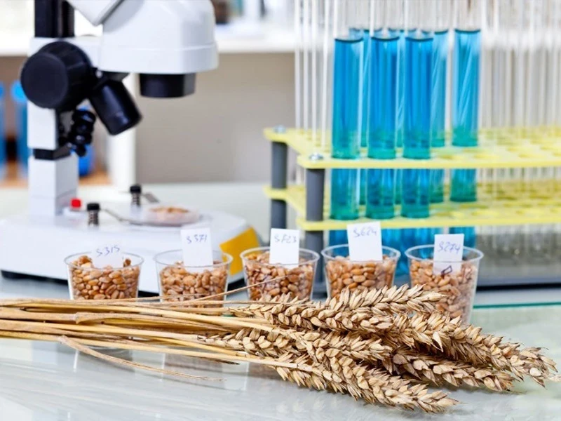 Кыргызстанда "Экспертиза" АИСи ишке киргизилди