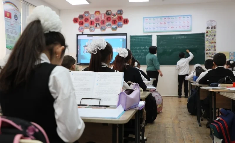 Балдардын укуктары жана мугалимдин жоопкерчилиги - адистердин пикири