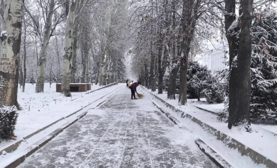В Бишкекте жыл башынан бери дээрлик 300 адам тайгактан жаракат алды