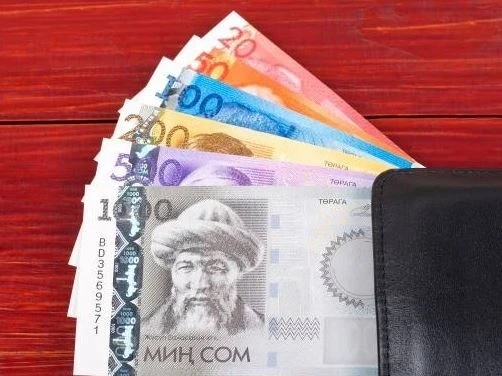 A disabled orphan will receive benefits totaling over half a million soms