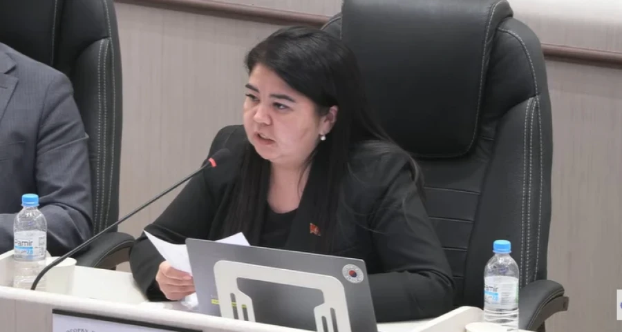 In the Jogorku Kenesh, they propose to create a state fund to assist the sick