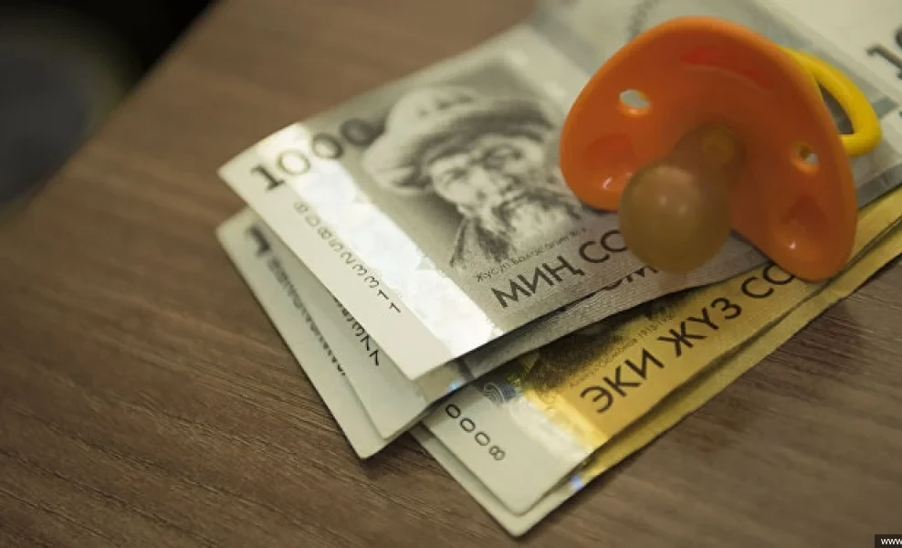 Errors in "Tunduk" hinder the receipt of benefits — deputy