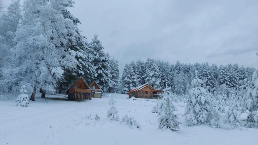 In northern Mongolia, the temperature dropped to minus 45.2 °C overnight.