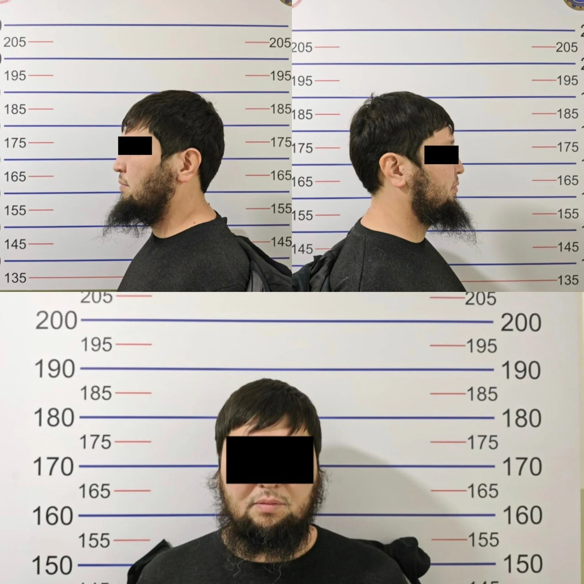 In Bishkek, a suspect has been detained for a series of large-scale frauds