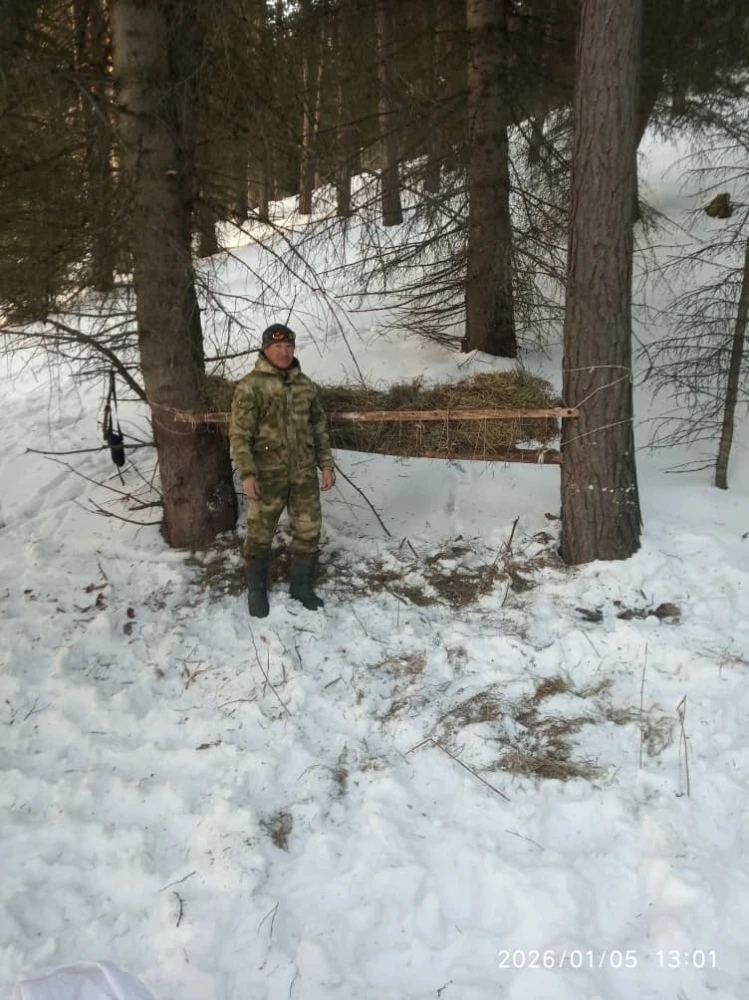 In Chon-Kemin Park, rangers record the emergence of roe deer for feeding