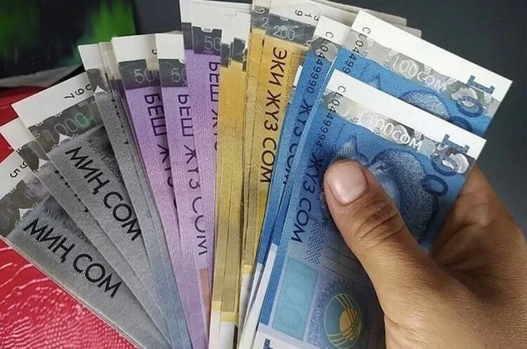 Paid services in 2025 increased by 11.2 percent. What became more expensive the most