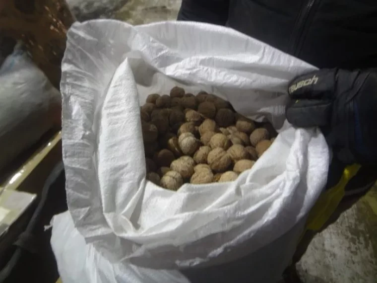 Россияга 160 килограмм грек жаңгагын Кыргызстандан өткөрбөй коюшту