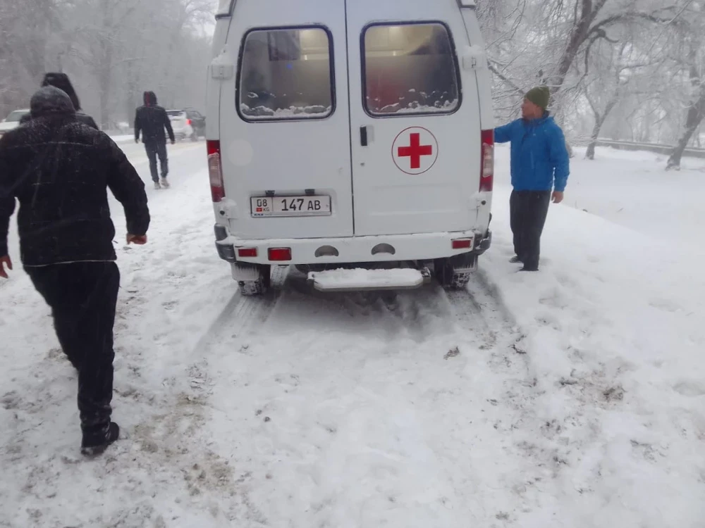 Бишкек - Нарын - Торугарт трассасында өлүмгө алып келген ЖОЖ болду