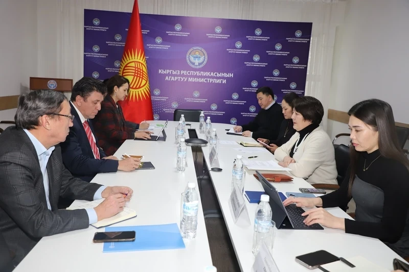 Министрлер кабинетинин билим берүү жана ФАО «жашыл көндүмдөрдү» билим берүүдө өнүктүрүүнү талкуулады
