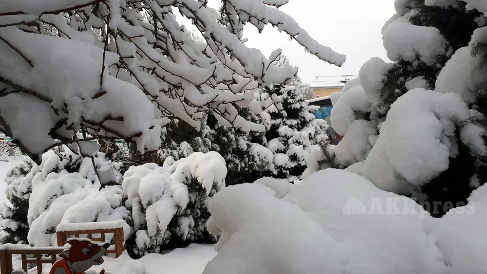 В Афганистане из-за снегопадов и дождей погибли 61 человек, 110 получили травмы