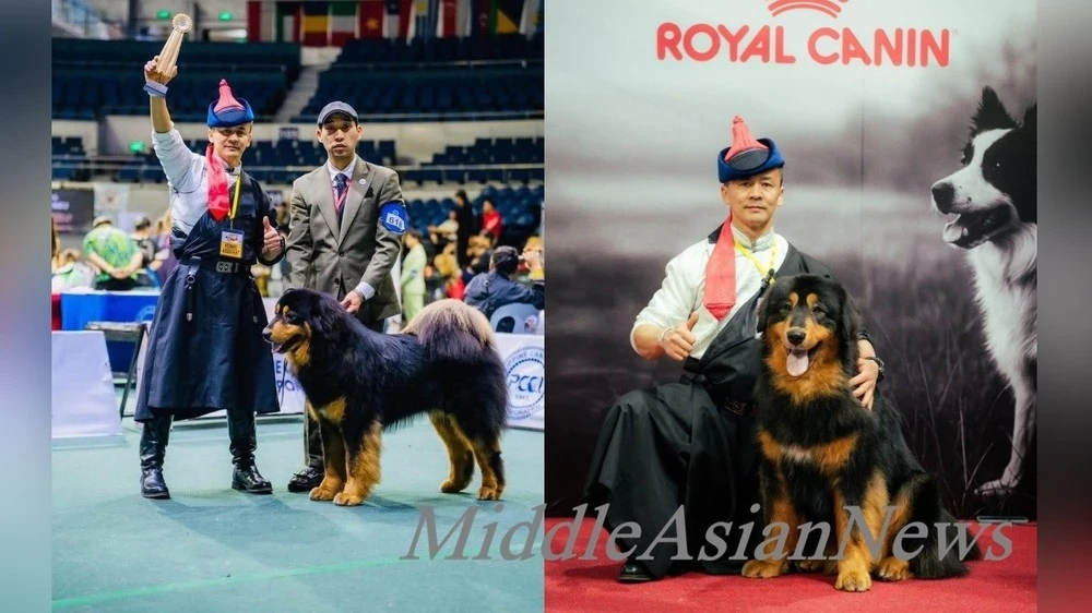Mongolian Bankhar Debuted at the World Dog Show and Became Champion of the Philippines