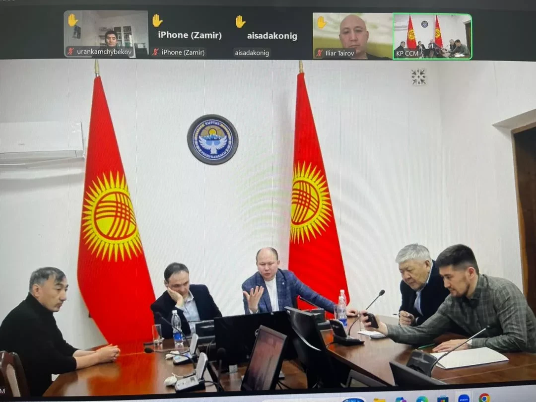 The Ministry of Health of Kyrgyzstan held an online meeting with Kyrgyz doctors working abroad