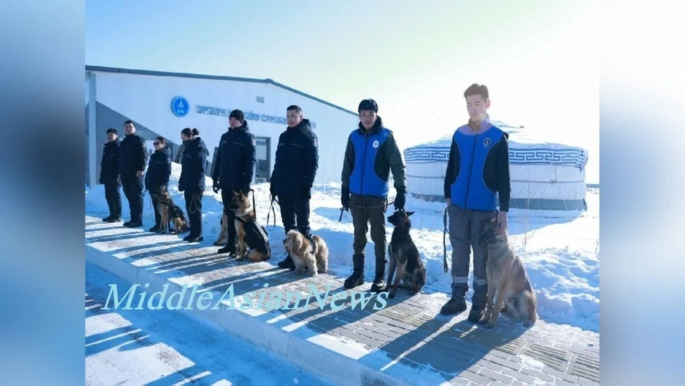 Service dogs detect 30-40% of seized drugs at the air border