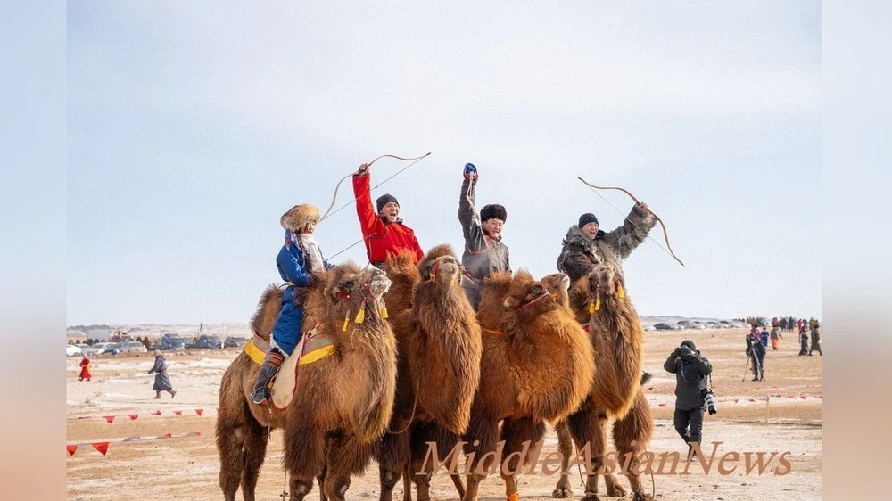 "Close to the Sun on a Camel": A Camel Festival Took Place in Southern Mongolia. Photos