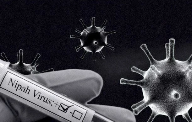 Минздрав усилил контроль на границе из-за риска завоза вируса Нипах