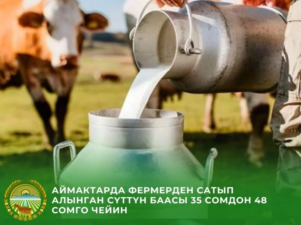 In Kyrgyzstan, the purchase price of milk ranges from 32 to 48 soms per liter