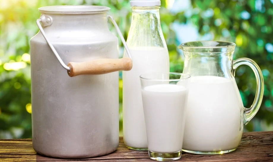 In the regions of Kyrgyzstan, the purchase price for milk ranges from 35 to 48 soms.