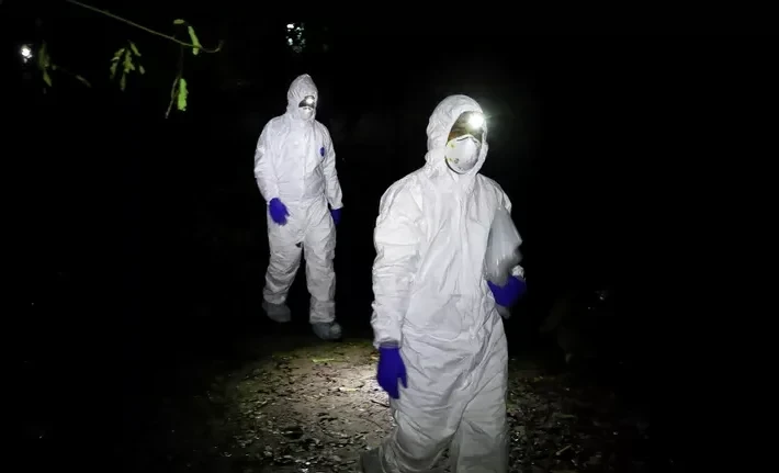 The spread of the Nipah virus is possible due to its low level of study, said WHO.