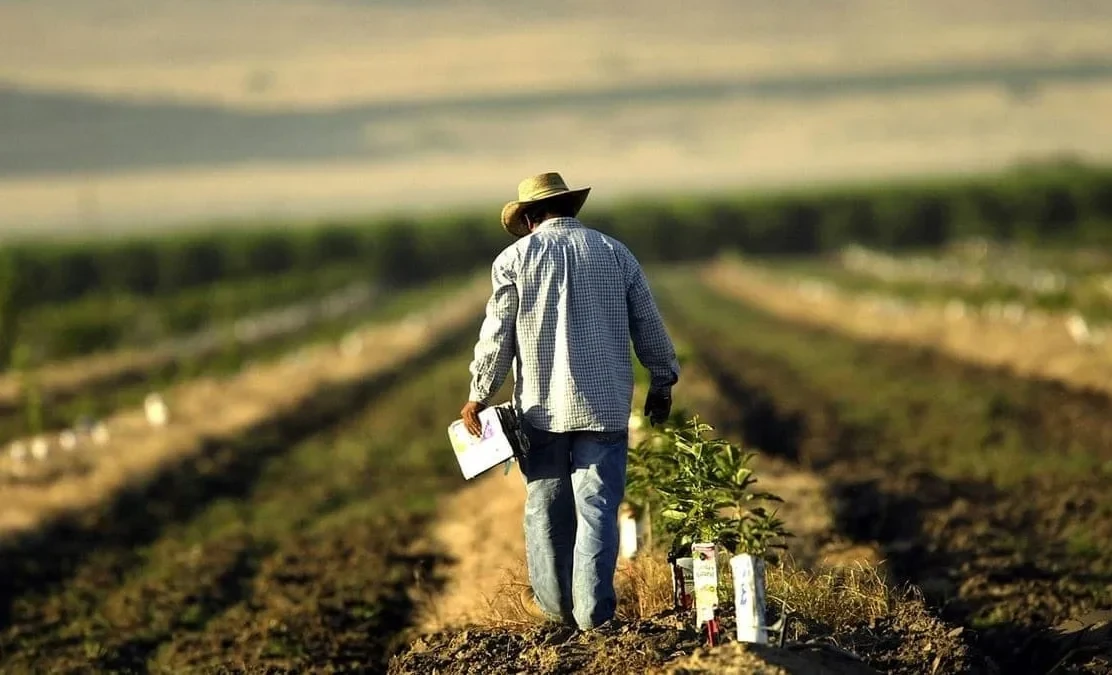 In Kyrgyzstan, the rules for mandatory health insurance for farmers have changed