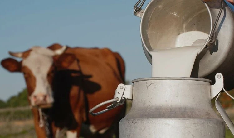 Prices for Raw Milk in Kyrgyzstan and Central Asian Countries: A Comparison