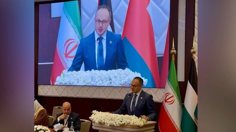 At the session of the Asian Parliamentary Assembly, the plans of TURKPA for international cooperation were announced