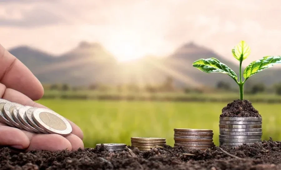 The Entrepreneurship Development Fund Begins Issuing Preferential Loans at 6% Annual Interest