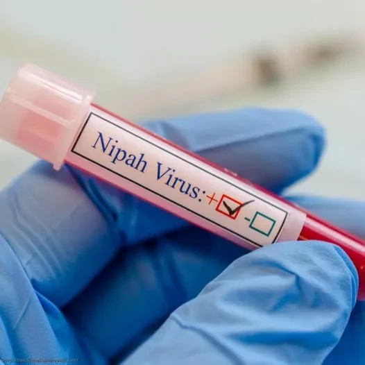 WHO warns of possible further spread of the Nipah virus