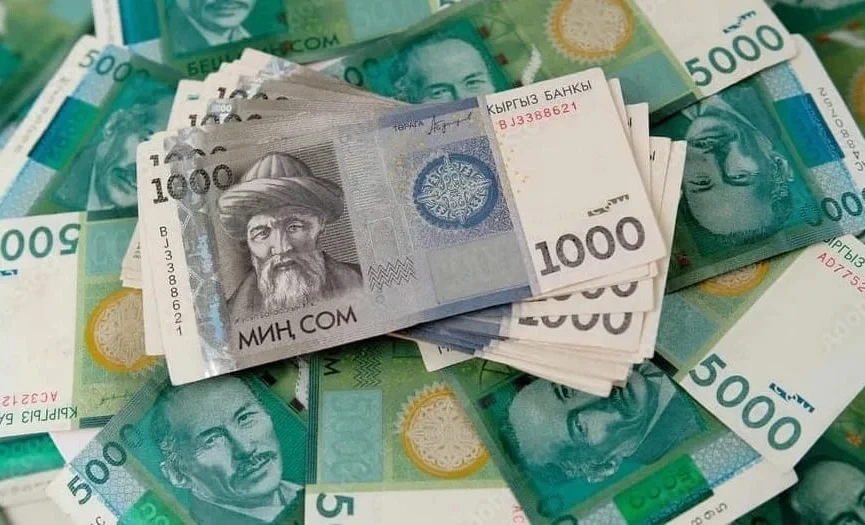 The volume of cash in circulation in Kyrgyzstan increased by 24.4%