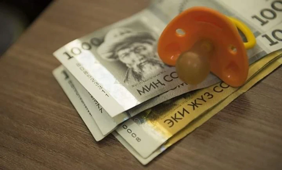 Депутат ЖК предложил платить пособие на ребенка всем, а не только нуждающимся