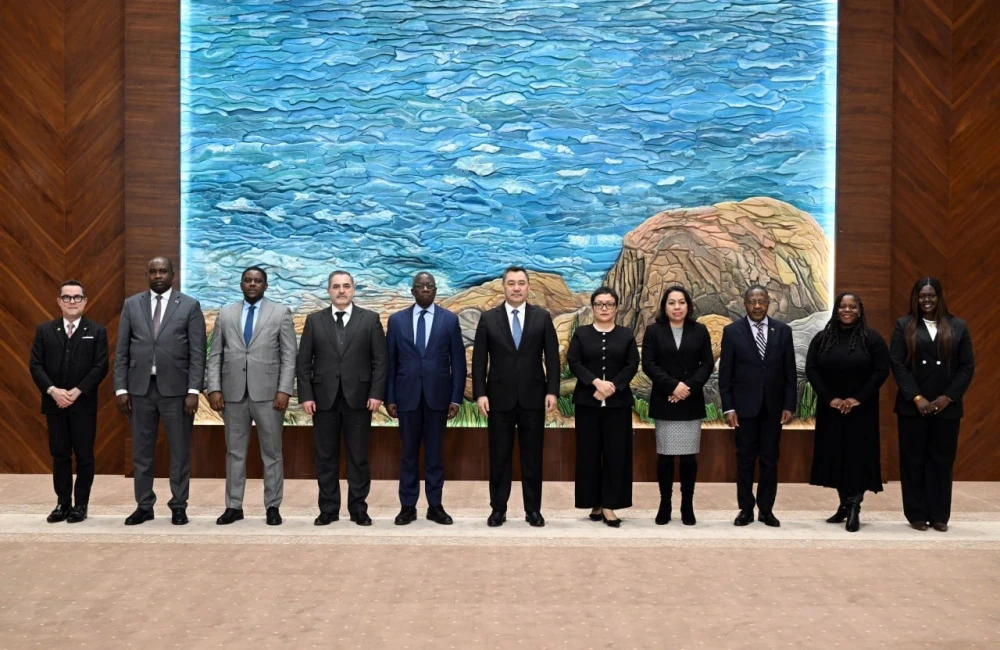 Sadyr Japarov discussed global security and climate with representatives of countries at the UN.