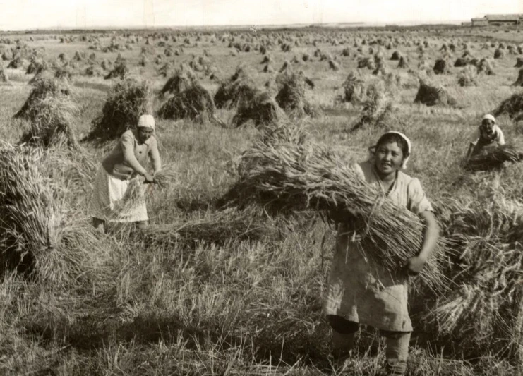 Сельское хозяйство Киргизии на службе фронту 1941 г.