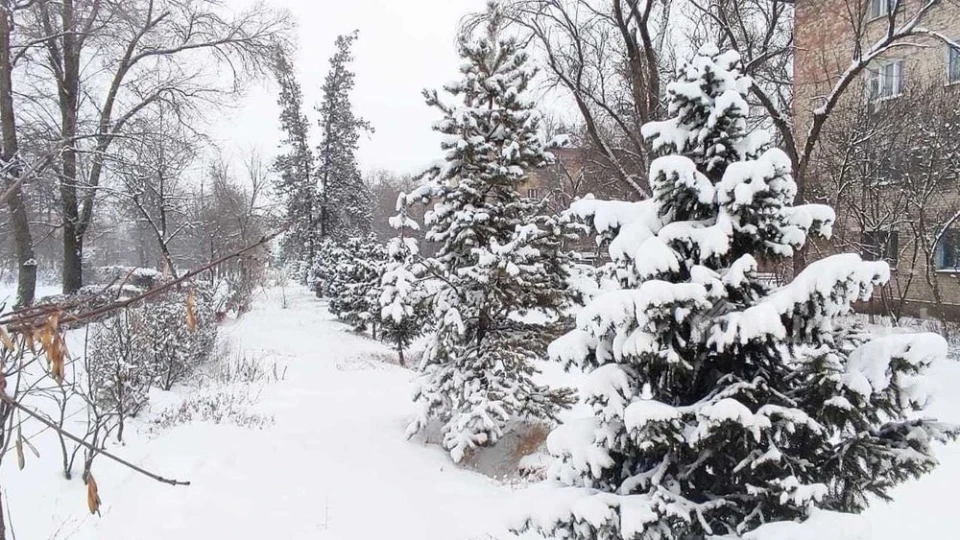 Severe frosts of up to -38 degrees are expected in Kazakhstan this week