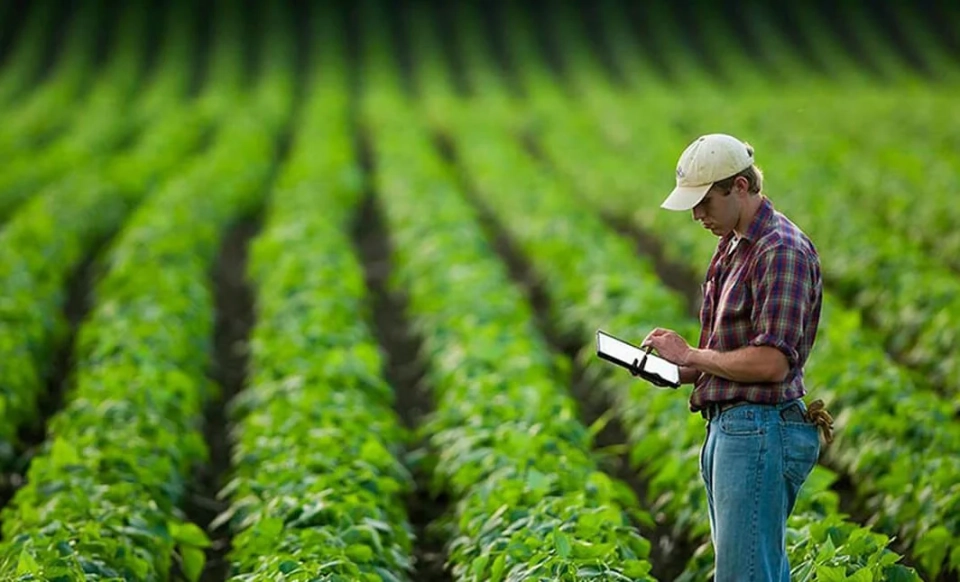 The Ministry of Agriculture will hold free training sessions for farmers in the southern regions.